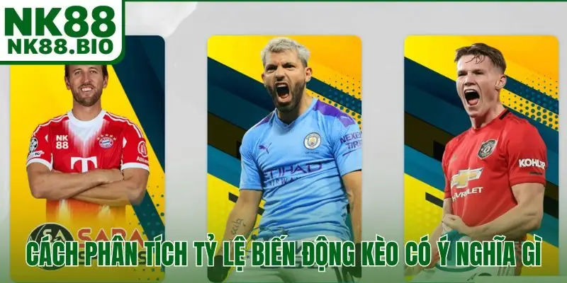 Cách phân tích tỷ lệ biến động kèo có ý nghĩa gì