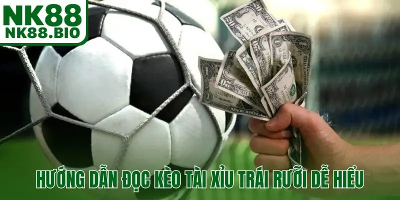 Hướng dẫn đọc kèo tài xỉu trái rưỡi dễ hiểu