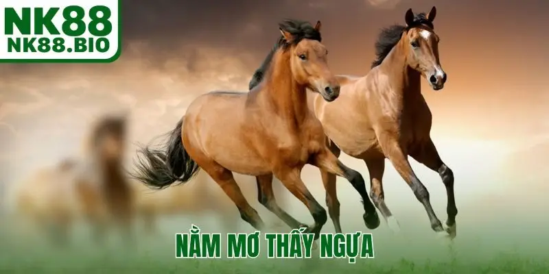 nằm mơ thấy ngựa
